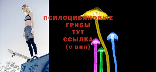 сатива Алзамай