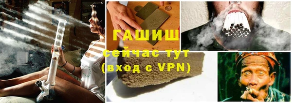 сатива Алзамай