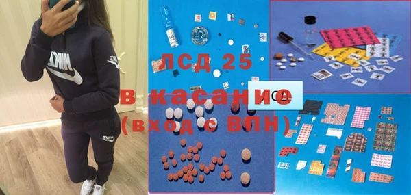 сатива Алзамай