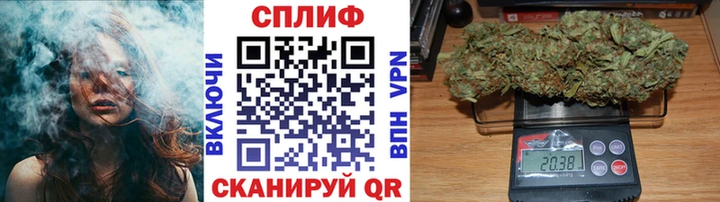 Канабис планчик  Нефтекумск 
